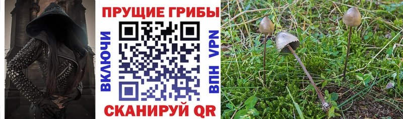 Галлюциногенные грибы мухоморы  Южноуральск 